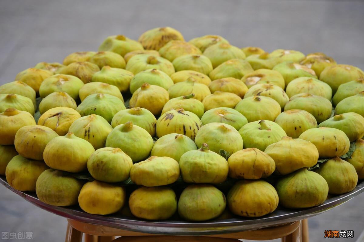 盘点国内十大优质无花果产地 国内无花果产地哪里最好