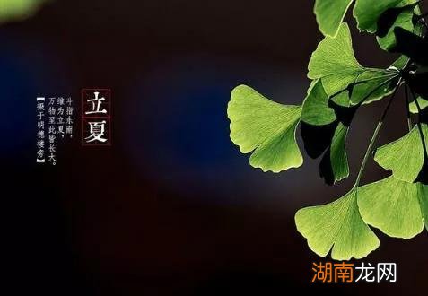 简单介绍立夏节气的历史渊源 关于立夏的来历简介