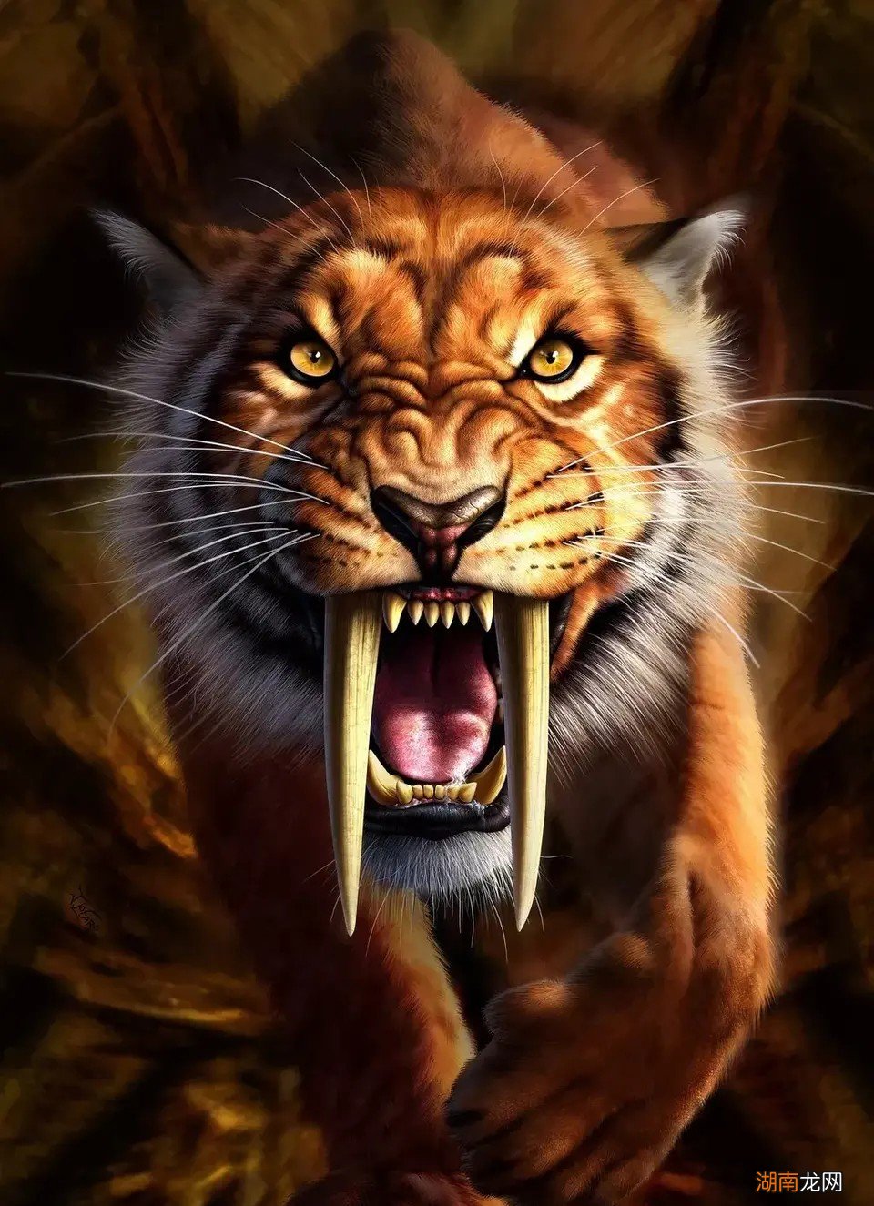 老虎的起源以及演变历史 老虎的由来故事是什么