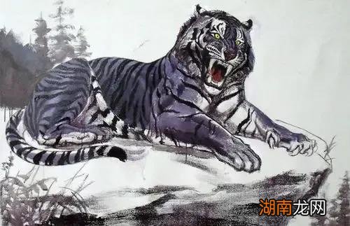 老虎的起源以及演变历史 老虎的由来故事是什么