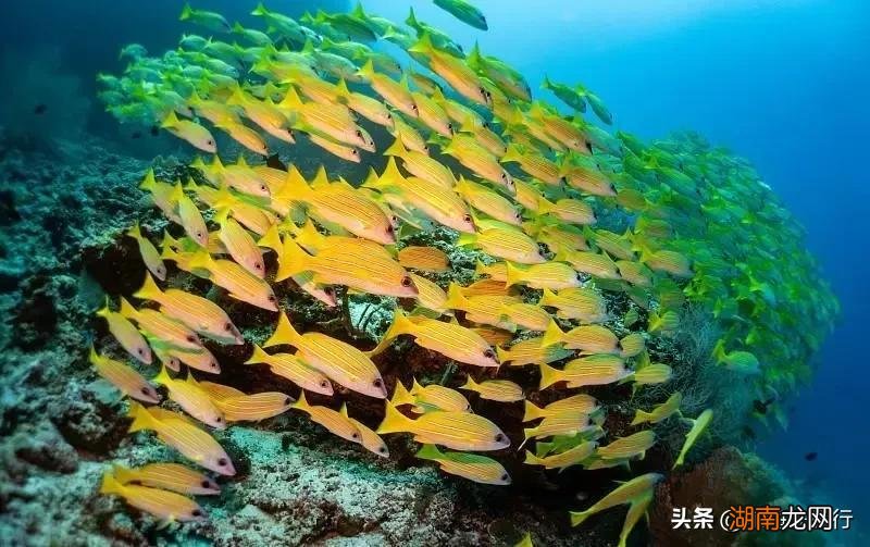 北海旅游必去十大景点 北海旅游攻略必去景点推荐
