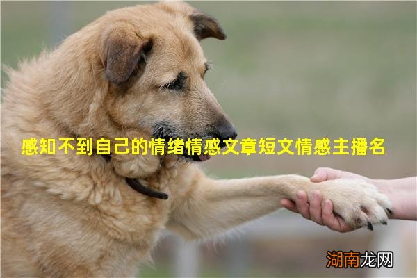 感知不到自己的情绪情感文章短文情感主播名字