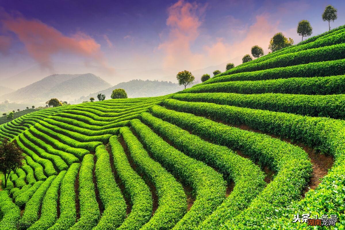 这6句话写透人生醍醐灌顶 杨绛经典语录与 人生感悟