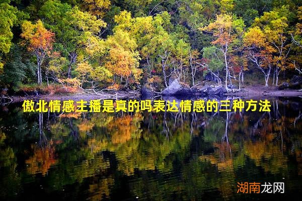 傲北情感主播是真的吗表达情感的三种方法