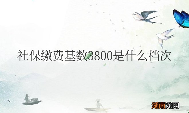 社保缴费基数3800是什么档次