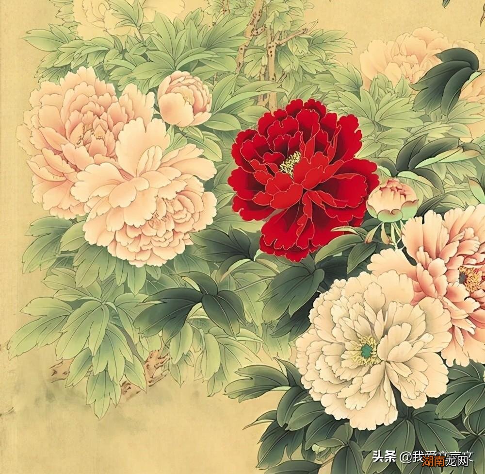 北宋周敦颐爱莲说的意思和寓意 爱莲说原文及翻译拼音注释