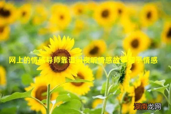 网上的情感导师靠谱吗夜听情感故事知乎情感故事