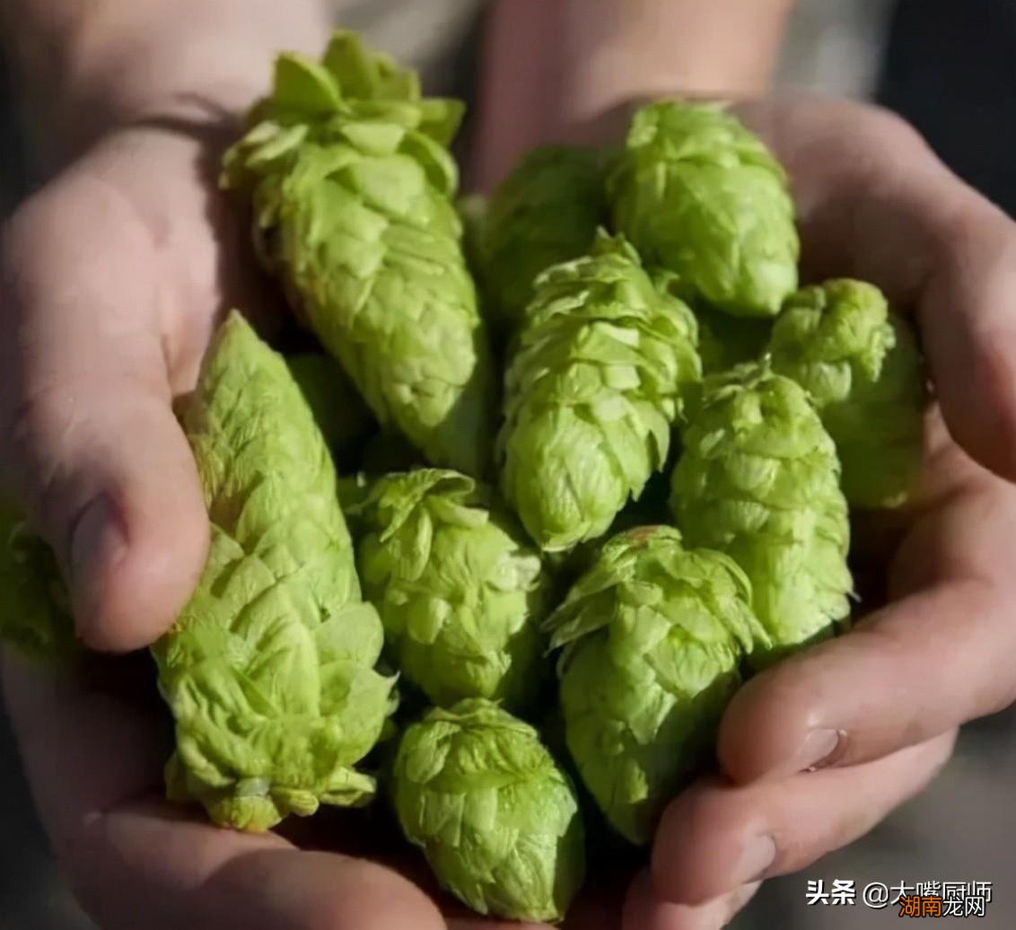 为什么叫它“夺命大乌苏” 乌苏啤酒nsnm什么梗