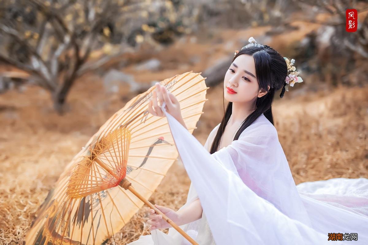 李清照最美梅花词赏析 李清照诗词最佳十首及翻译