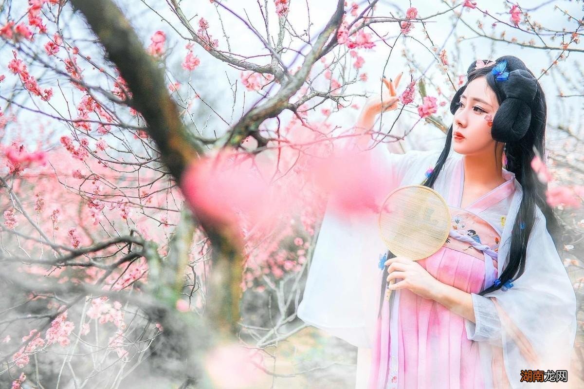 李清照最美梅花词赏析 李清照诗词最佳十首及翻译