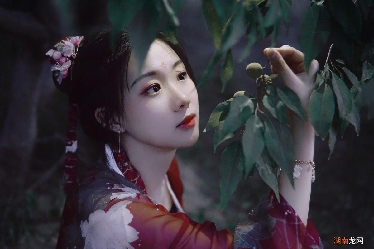 李清照最美梅花词赏析 李清照诗词最佳十首及翻译