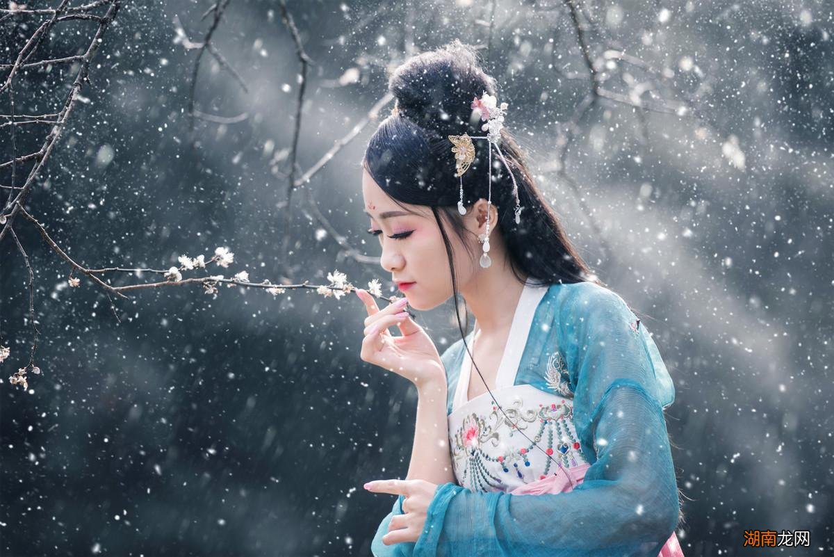 李清照最美梅花词赏析 李清照诗词最佳十首及翻译