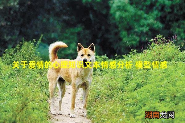 关于爱情的心理知识文本情感分析 模型情感读文治愈文本