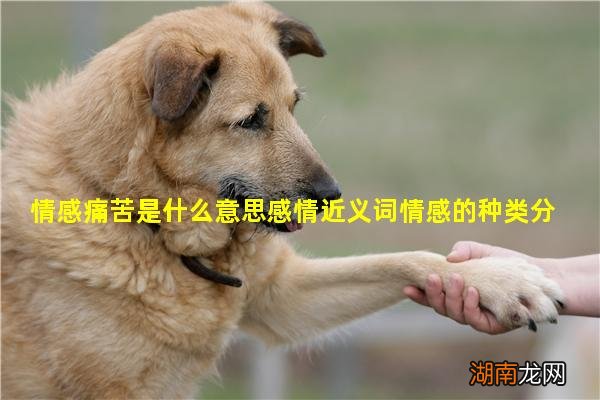 情感痛苦是什么意思感情近义词情感的种类分为哪三类