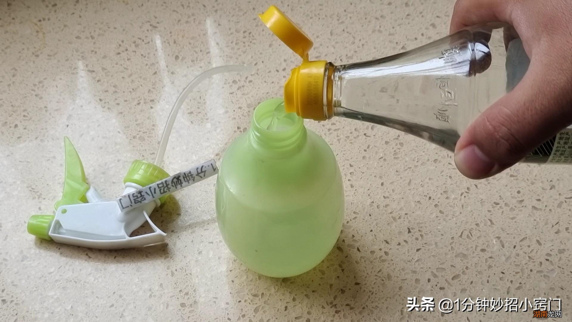 消灭蚂蚁高效彻底的方法 室内灭蚂蚁最有效的方法白醋