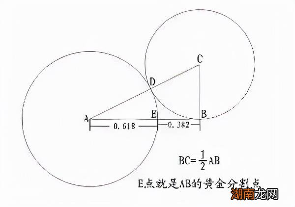 黄金分割线的应用领域很多 黄金分割的比值约为多少