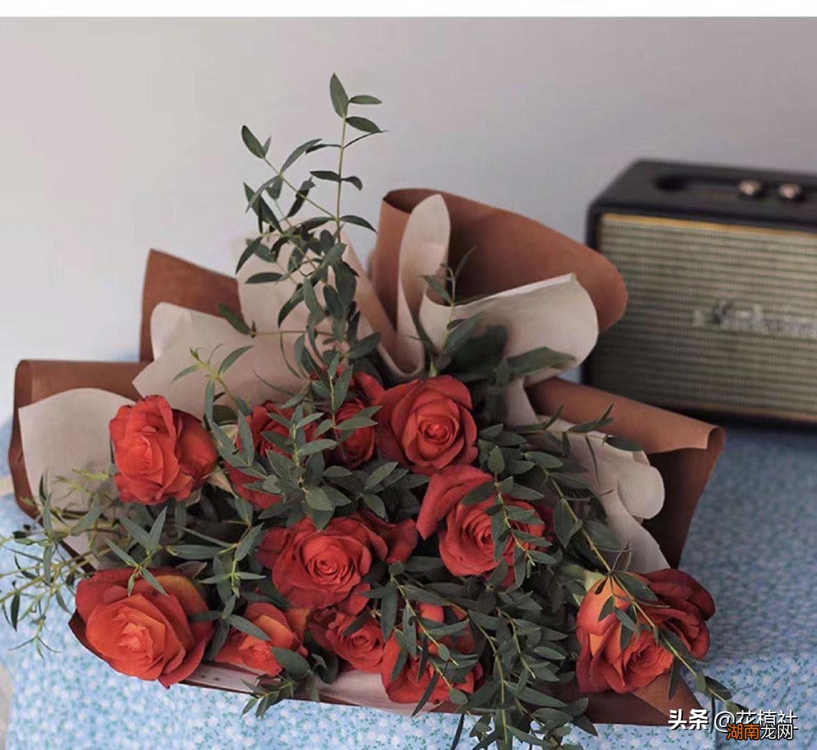 超详细分享鲜花如何保鲜更长时间 收到鲜花花束怎样养护