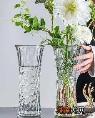 超详细分享鲜花如何保鲜更长时间 收到鲜花花束怎样养护