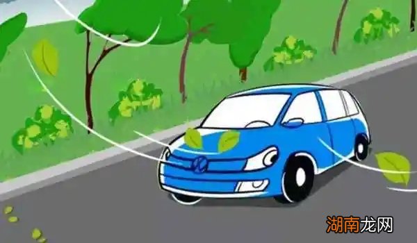 驾驶人体检项目有哪些