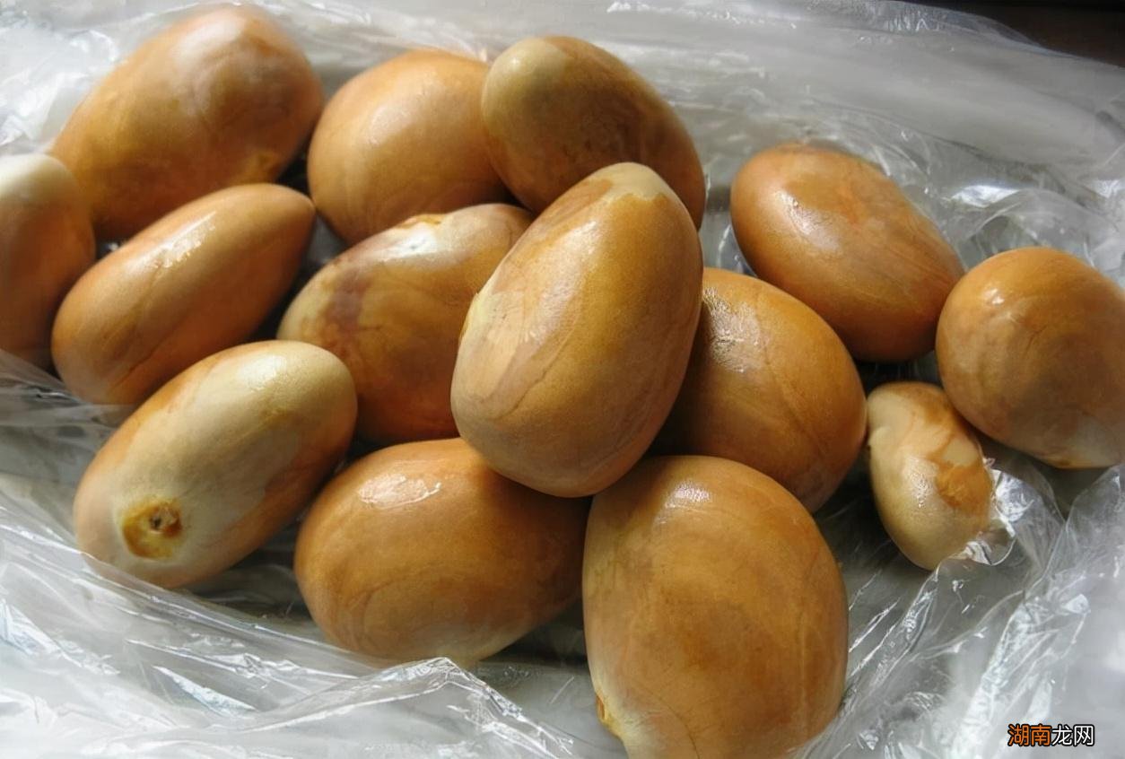 菠萝蜜的核怎么发芽当盆栽 菠萝蜜的核可以发芽种植吗