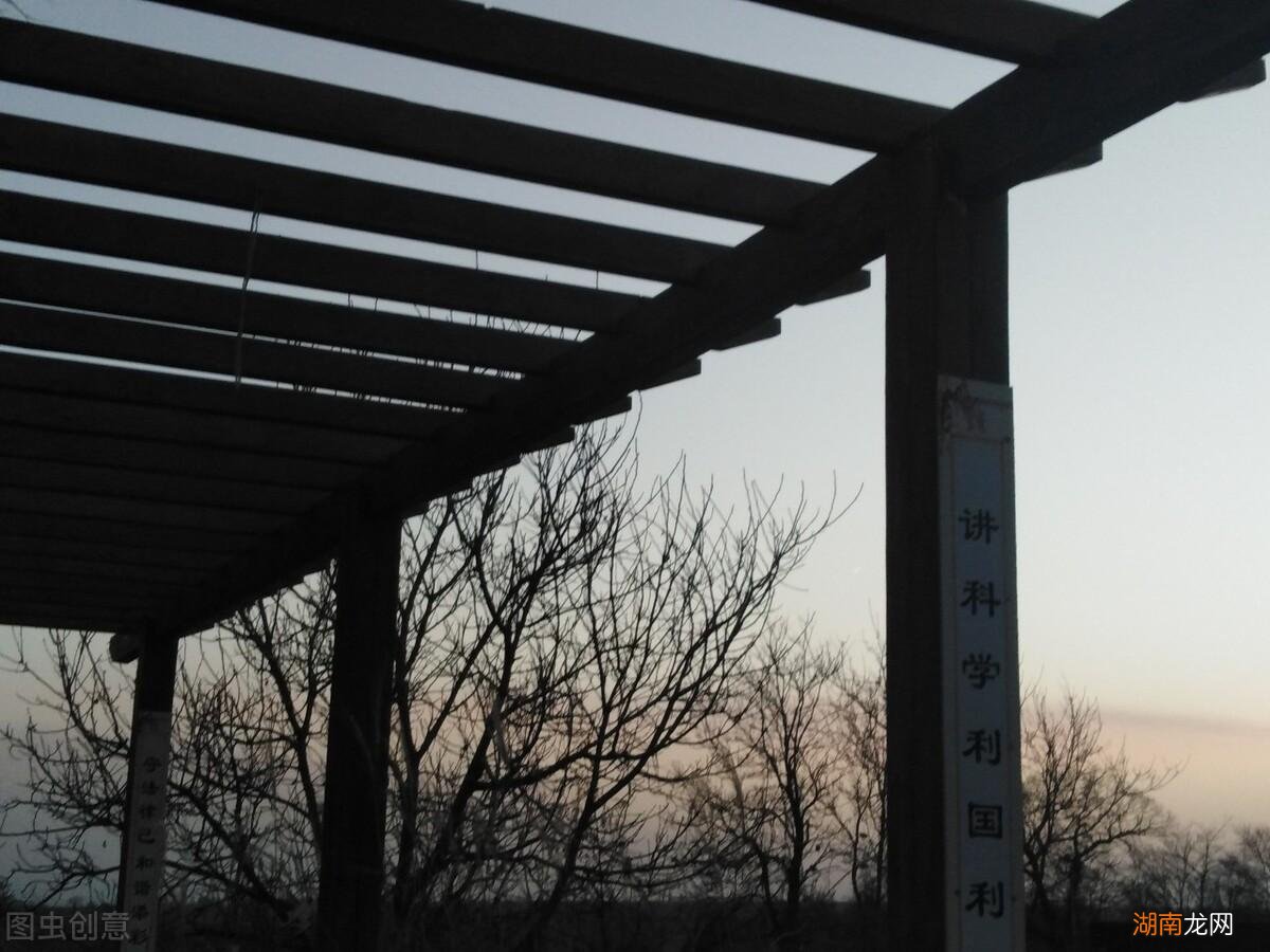 爱不释手的进化类无限流小说排行 十大进化流小说完结版