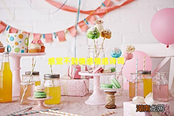 感觉不到情感情感诗词