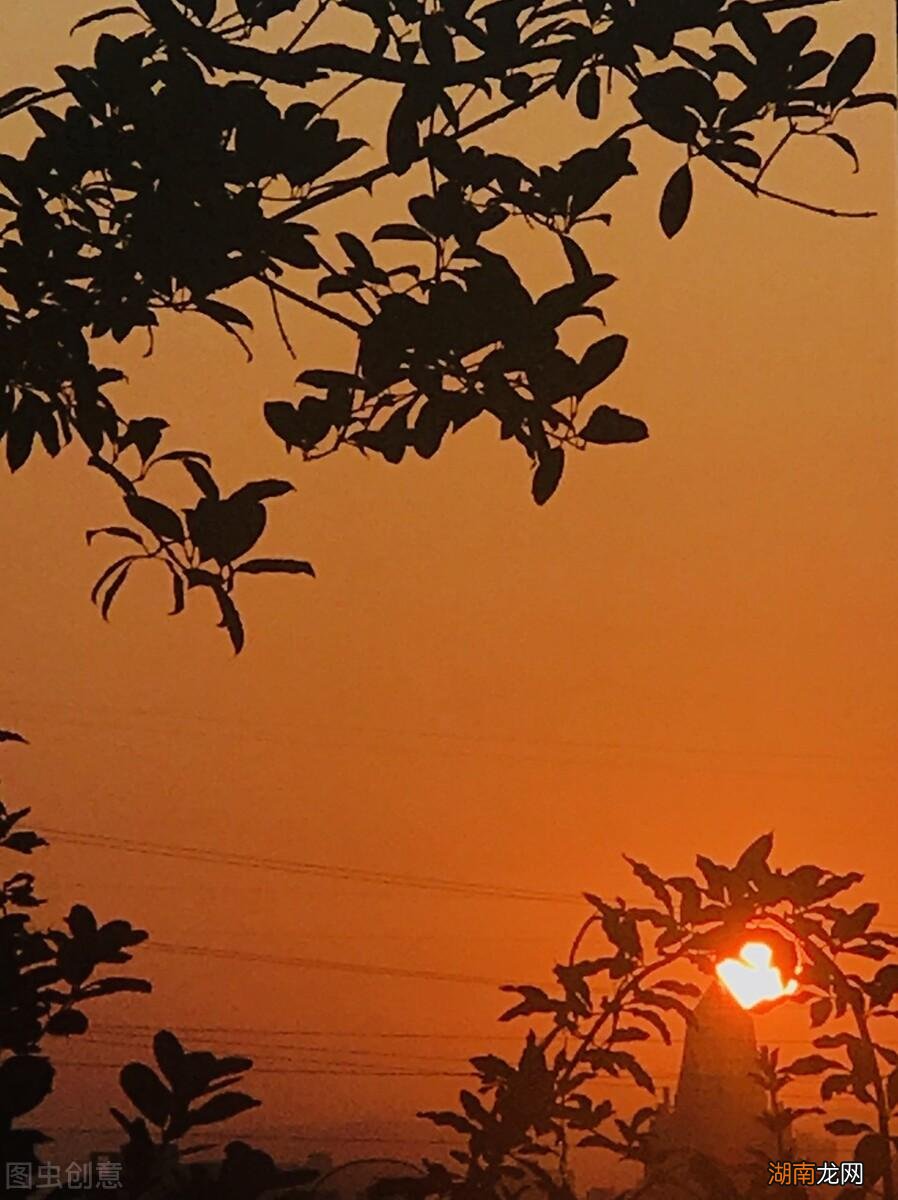 王安石登飞来峰赏析 登飞来峰主题思想和主要内容