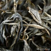 薄荷塘古树茶现状如何 薄荷塘普洱茶特点简介