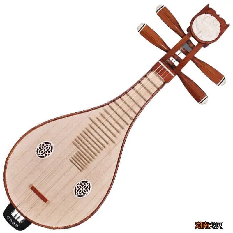 古筝和琵琶哪个更大气 柳琴和琵琶有什么不同图解