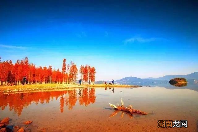 宁波人口第二大县市余姚常住人口 余姚属于宁波范围吗