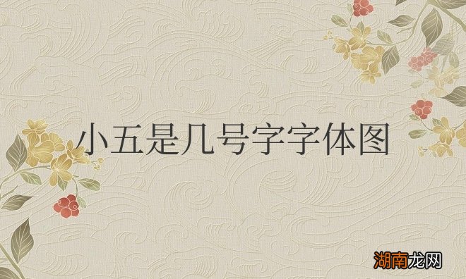 小五字体对应多少磅 小五是几号字字体图片