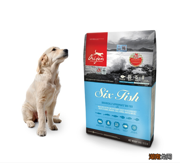 泰迪狗粮什么牌子好又便宜 泰迪专用狗粮品牌排名