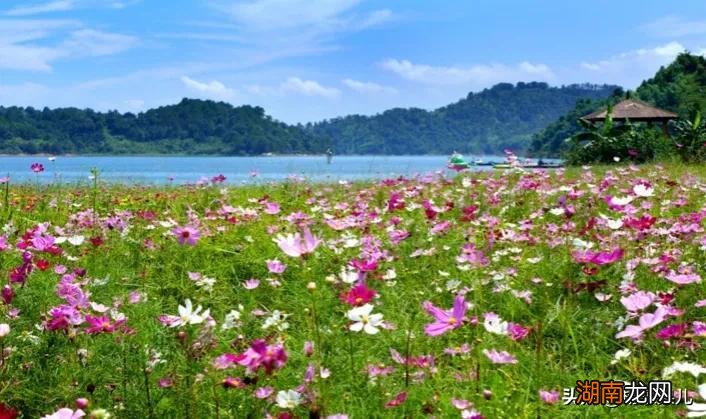 河源有什么好玩且免费的地方 河源好玩的景区有哪些