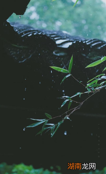 十五首有关暴雨的古诗词 形容暴风雨很大很猛烈的诗句
