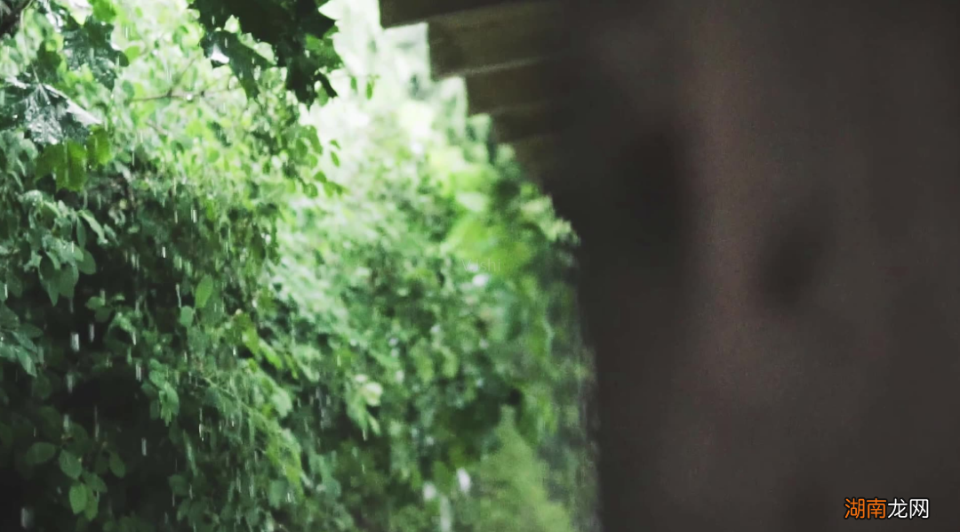 十五首有关暴雨的古诗词 形容暴风雨很大很猛烈的诗句