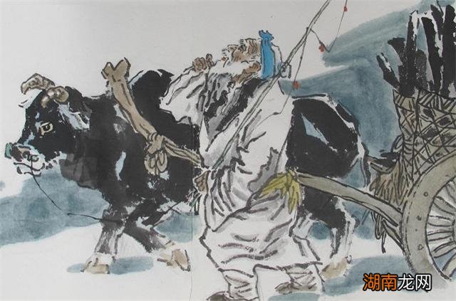 卖炭翁的真实历史背景与赏析 半匹红纱一丈绫的意思