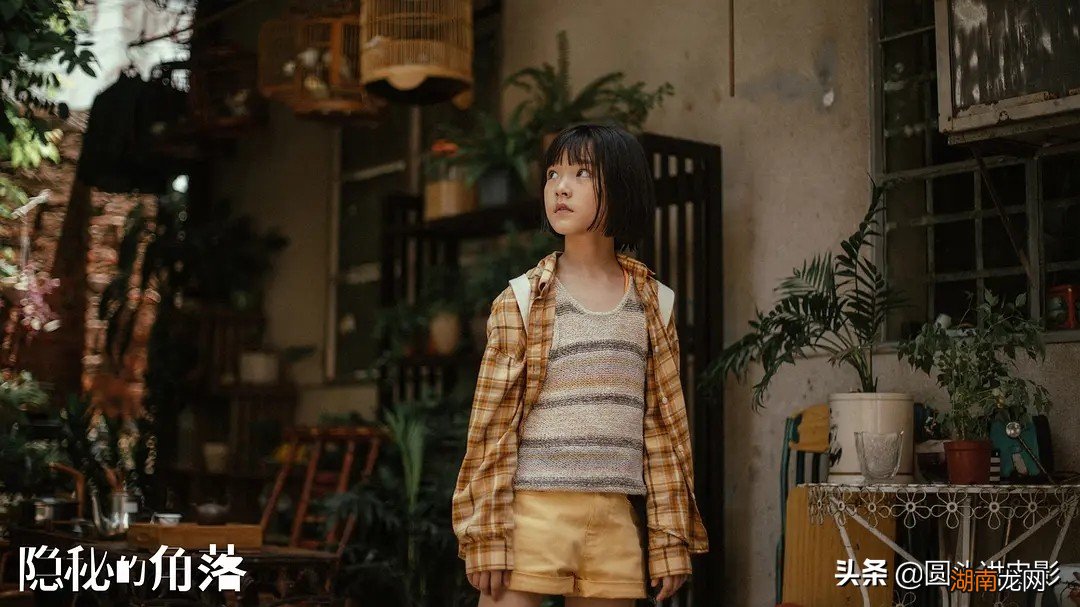 火爆全网的10部电视剧推荐 电视剧排名最火的前十位