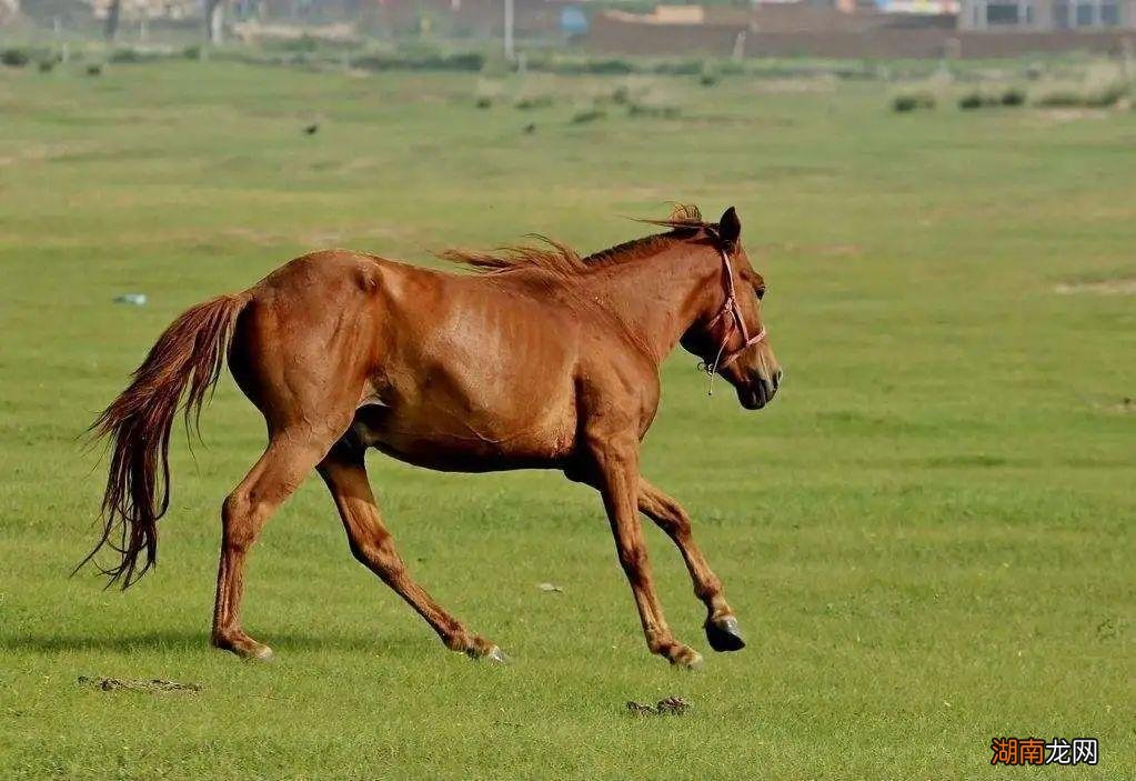佛家讲的慧根分为四个层次 佛教慧根是什么意思网络用语