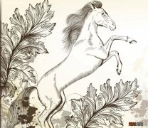 佛家讲的慧根分为四个层次 佛教慧根是什么意思网络用语