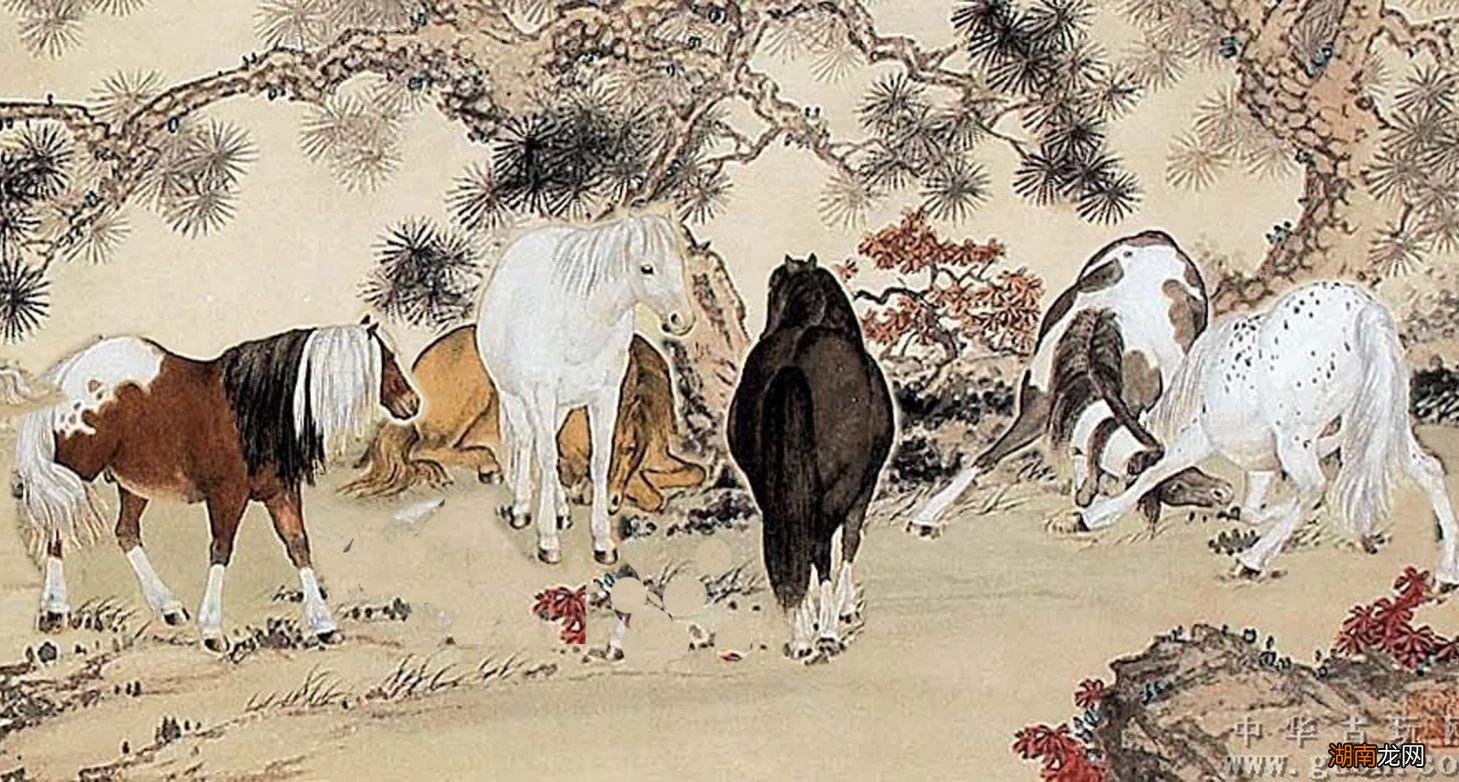 佛家讲的慧根分为四个层次 佛教慧根是什么意思网络用语