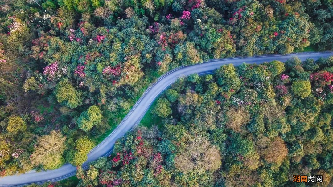 贵州省内5A级旅游景点名单公布 贵州5a景区名单