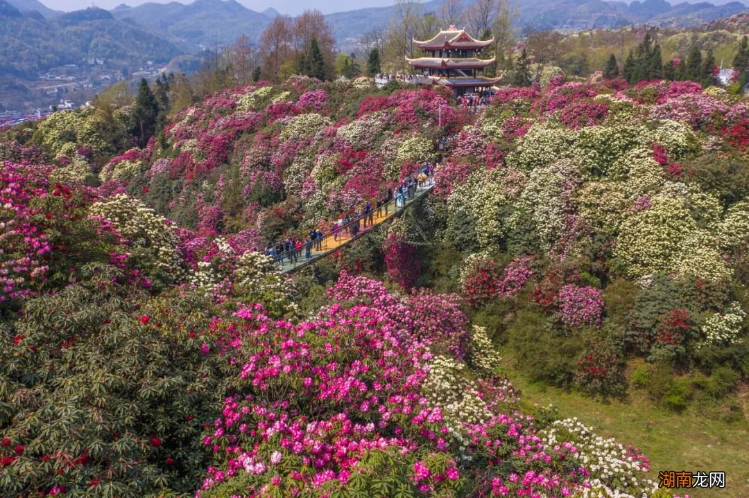 贵州省内5A级旅游景点名单公布 贵州5a景区名单