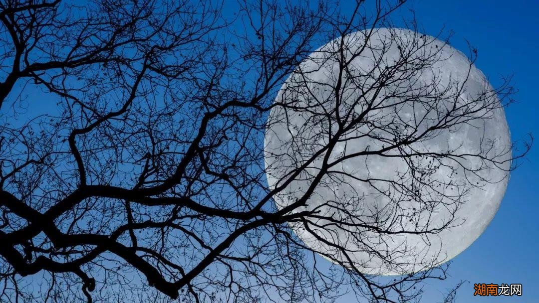 诗人苏轼表达什么情感 明月几时有把酒问青天的意思