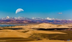 语文中比兴和比喻的区别 古诗比兴手法是什么意思举例