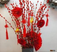 年宵花银柳要水养吗 红色银柳是干养还是水培