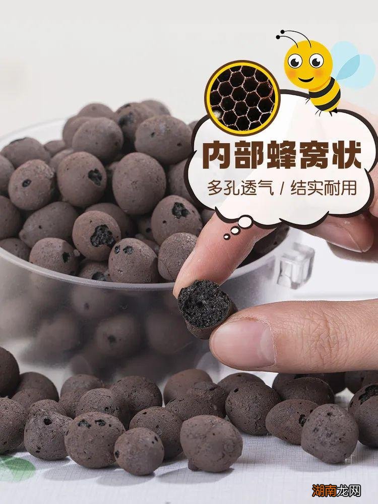 陶粒起什么作用 养花用的陶粒是什么东西做的