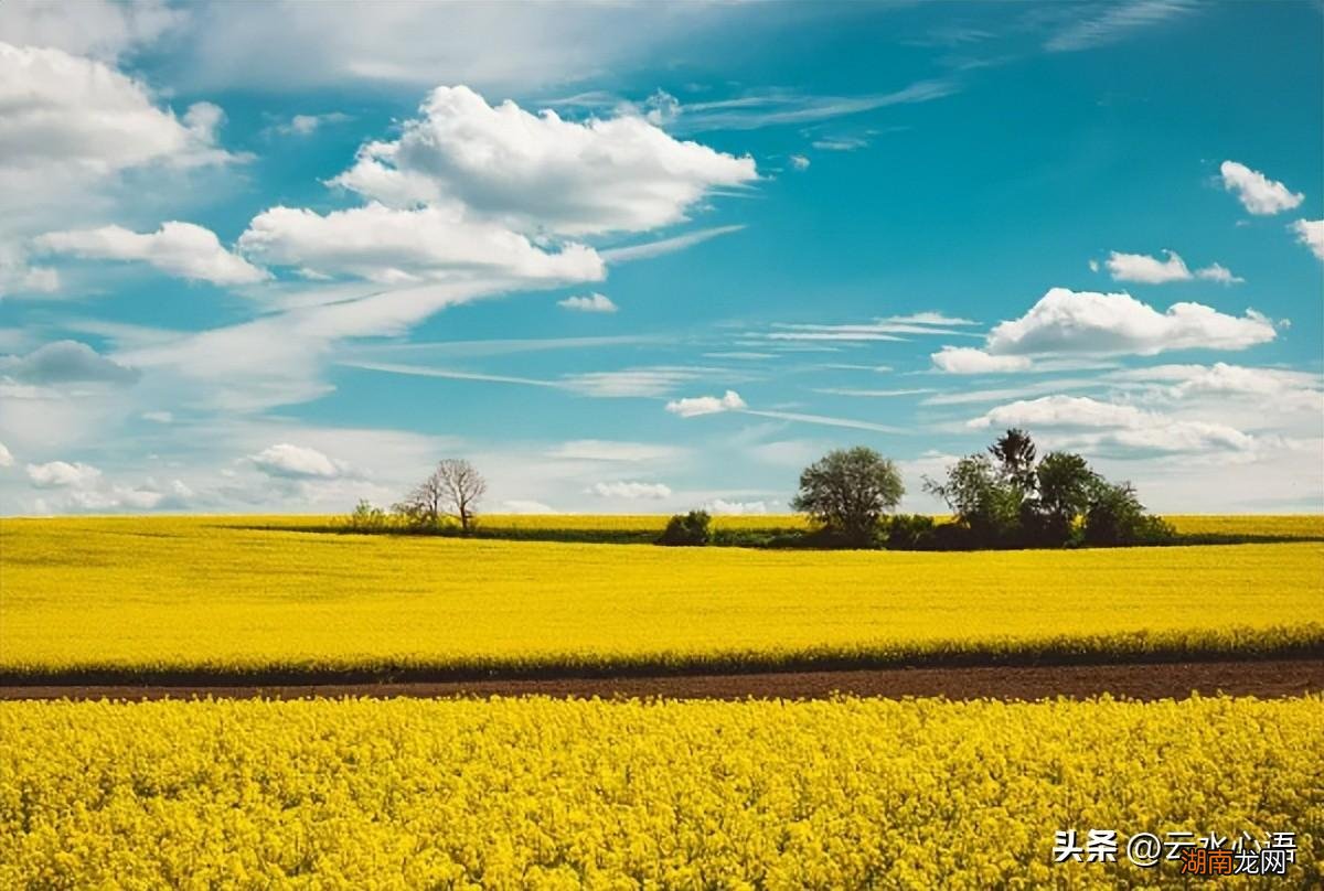 《浣溪沙》给人不同的感受 浣溪沙苏轼诗意和思想感情