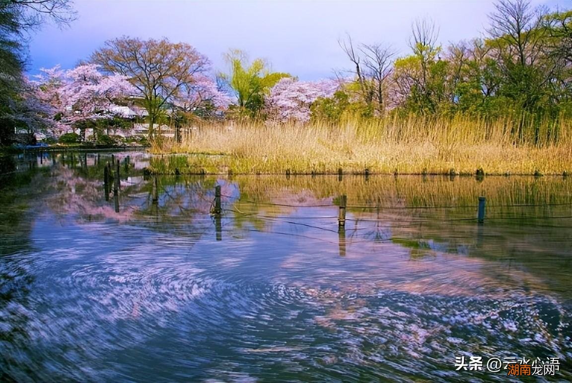 《浣溪沙》给人不同的感受 浣溪沙苏轼诗意和思想感情