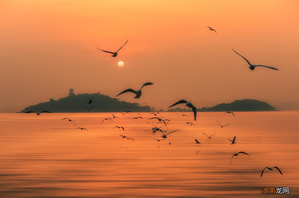 该词牌水平最高的压卷之作 西江月是词牌名吗