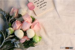 和女生表白送多少朵玫瑰 表白送几朵玫瑰花比较好